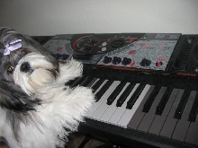 i've been touching the piano for 2 minutes...