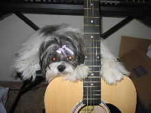 i should get a kid size guitar