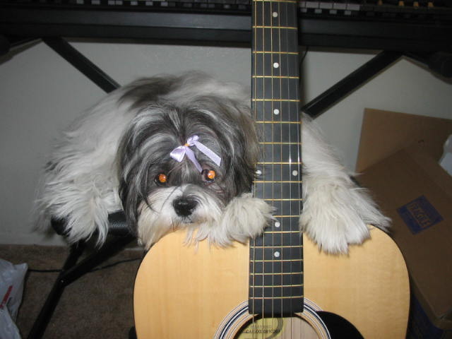 i should get a kid size guitar