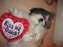 kiss me
