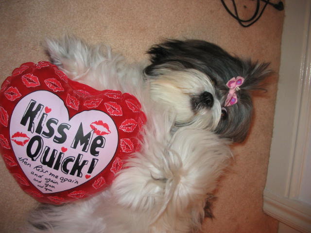 kiss me