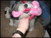 Give it to me!!!