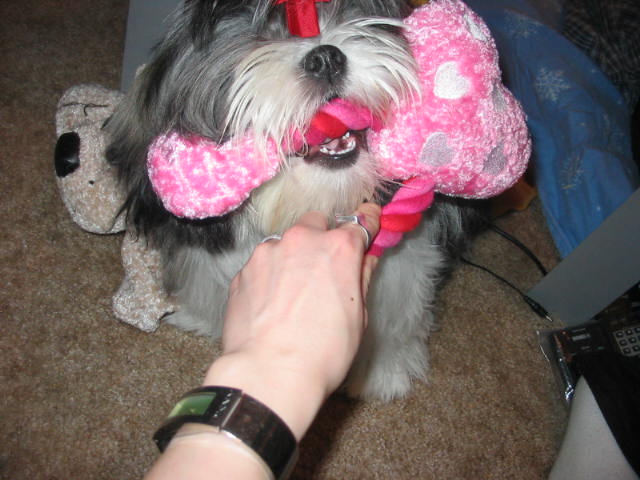 Give it to me!!!