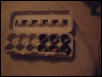 Beetle Hatchery
