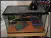 Leo Tank