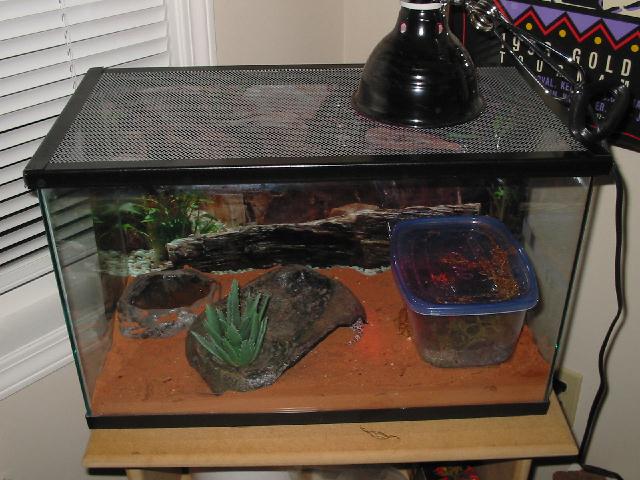 Leo Tank