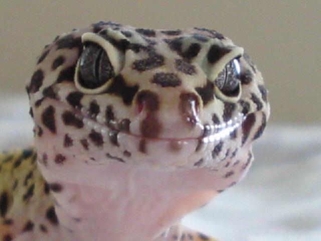 Smile!