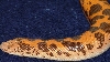 Female Flame 1