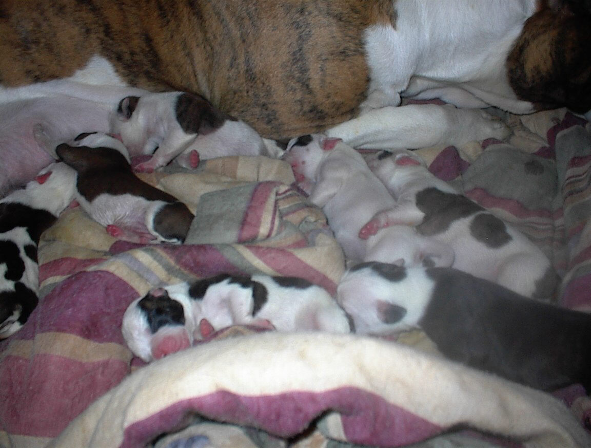 9 New Additions