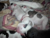 Nap Time...