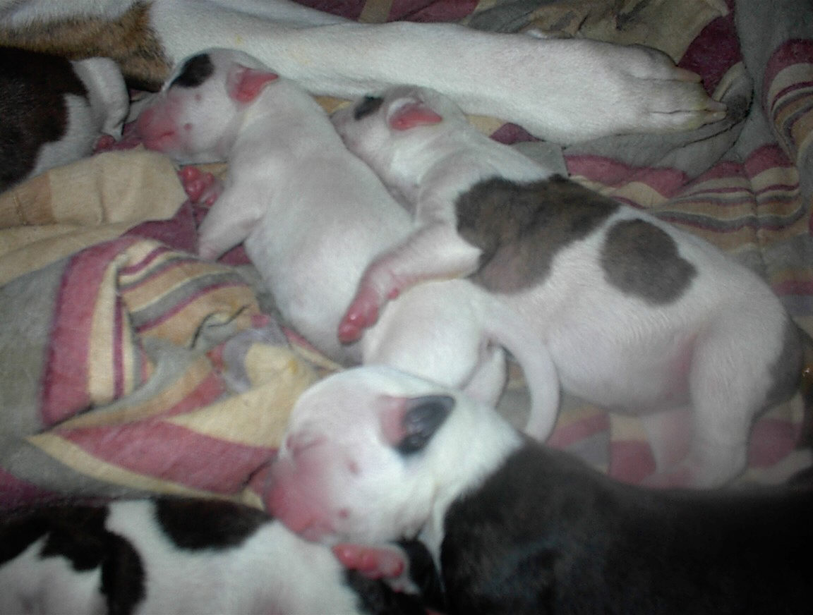 Nap Time...
