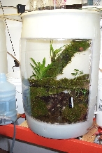 Barrel viv