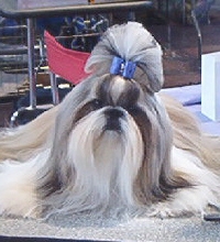 ClaraPA