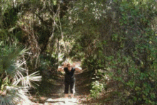Enchanted Forest