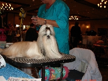 MiaNationals2008