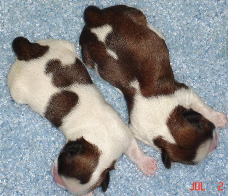 Mia female and male