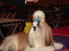 BredByB2008