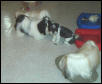 playtime at DnD