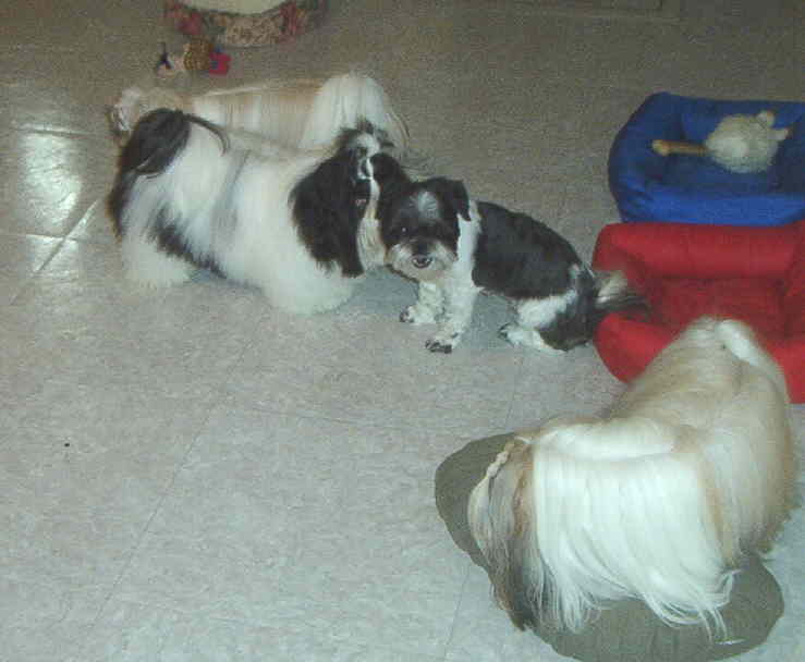 playtime at DnD