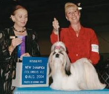 STAR CHAMPIONSHIP