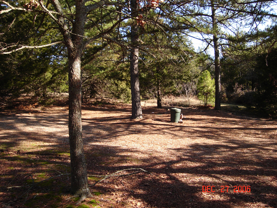 back yard
