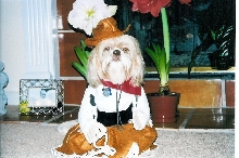 Cowgirl Cassey, Yee-haw!!