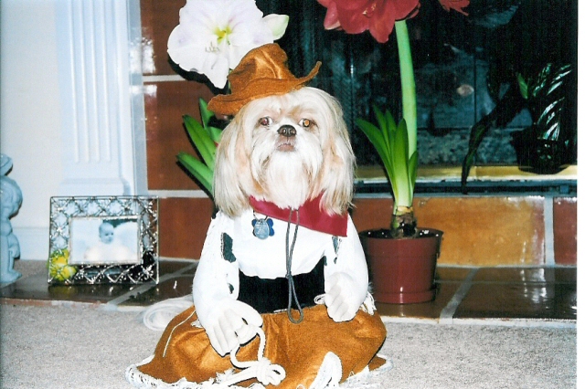 Cowgirl Cassey, Yee-haw!!