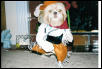 Cowgirl Cassey in a Trot!