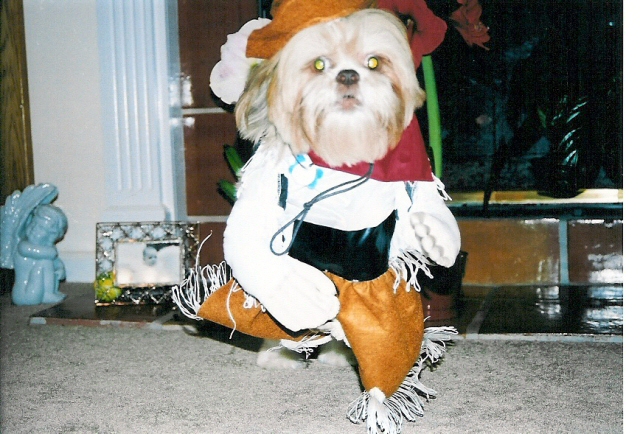 Cowgirl Cassey in a Trot!