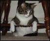 in time out