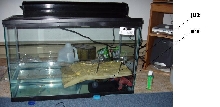 Enclosure for Baby Caiman