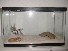 Sand boa cage