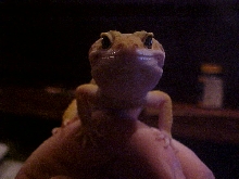Staring at the cam