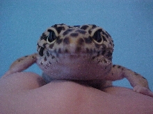 cute pic of Trinity