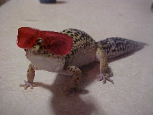 pic 3..lol