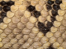 cascabel skin