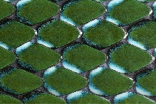 scales 1
