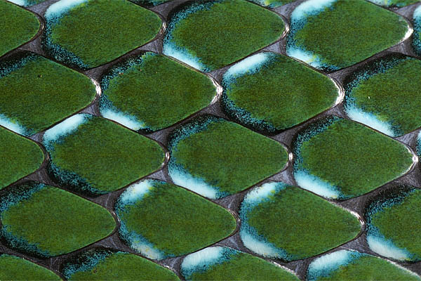 scales 1