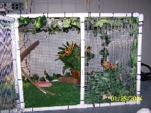 1st home made iggy cage