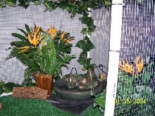 1st home made cage for iggy