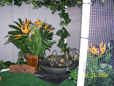 1st home made cage for iggy