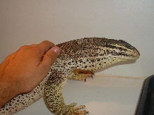 My Argus Monitor