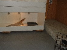 Gus' Room