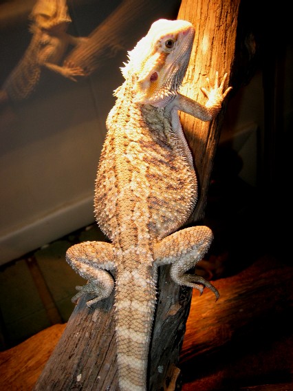 mar2004