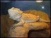 fuego20040825