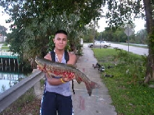 just fishing