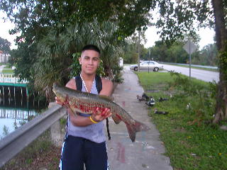 just fishing
