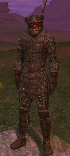 Armor front