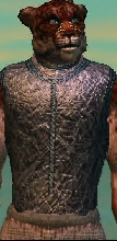 Cured Leather