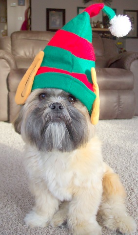 Oliver the Elf